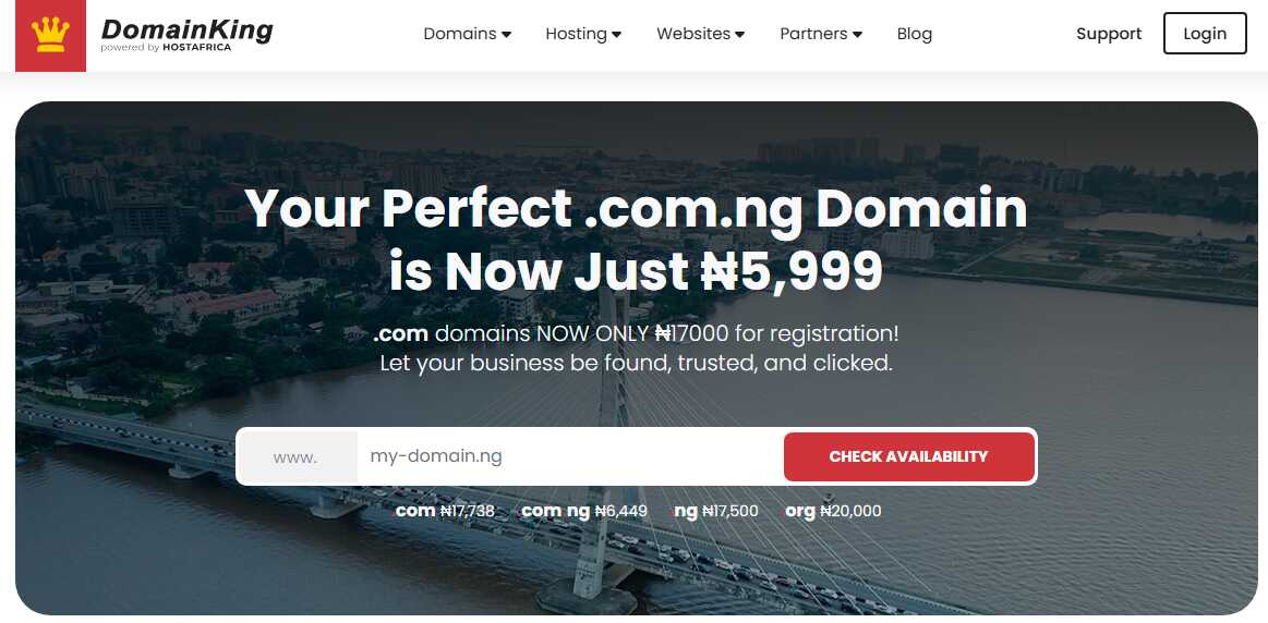 DomainKing