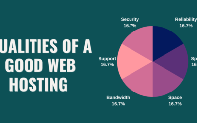 12 Qualities Of The Best Web Hosting Companies