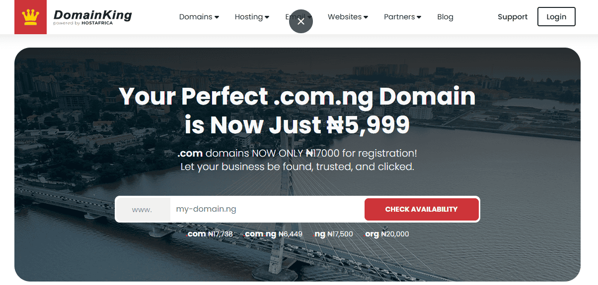 DomainKing Hosting Homepage