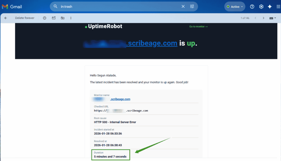 Smartweb Hosting Review 2026: Honest Pros & Cons | Scribeage