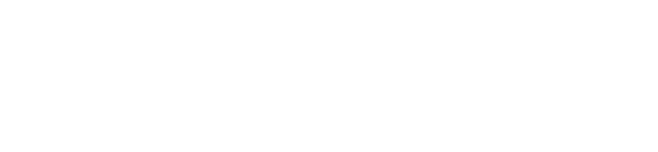 Domainking Logo